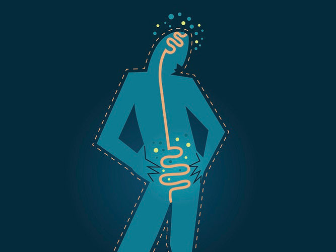 New study shows how prebiotic rich foods could be the key to reducing stress!