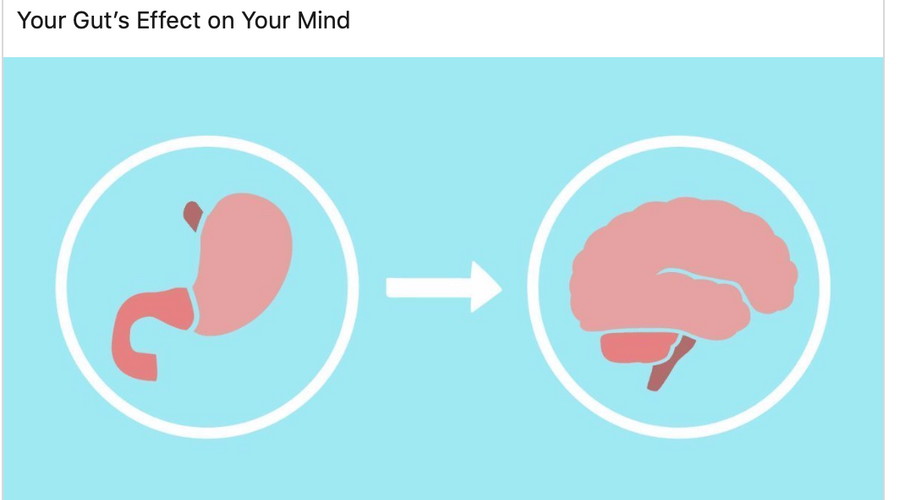 Dr David Katz shares news on the gut:brain connection
