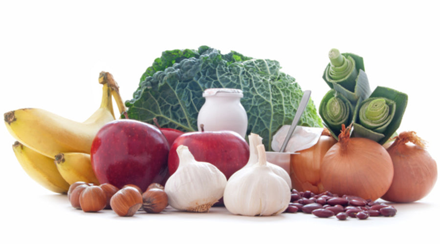New Study Confirms Diet High in Prebiotic Fiber Inulin is Better for Your Gut Health!