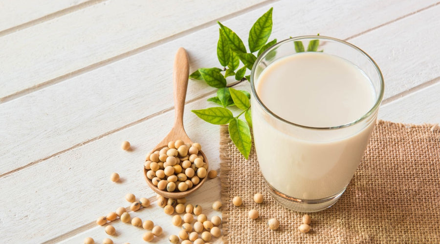Prebiotics + natural soy can improve cholesterol levels