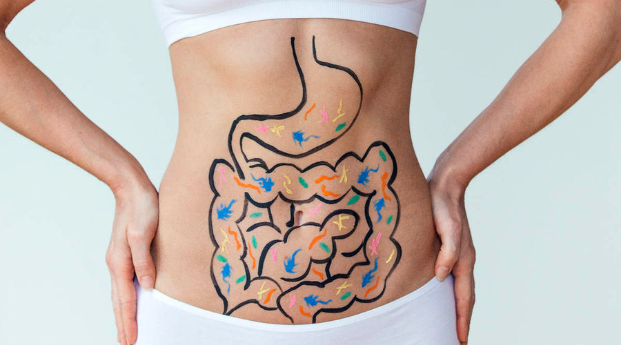 New Study Proves Probiotics Reduce Anxiety Symptoms