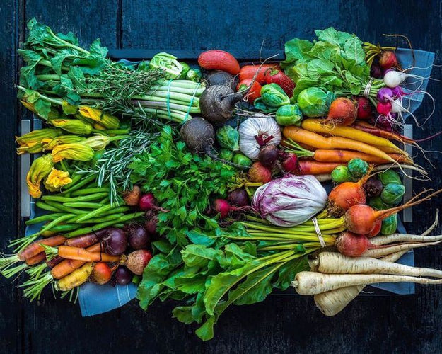 Scientific Study Proves Prebiotic Fiber Helps Type II Diabetes